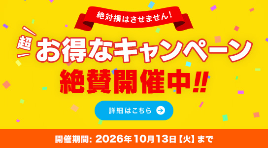 ����ӥ��󥳥� ǯ�֥ץ����